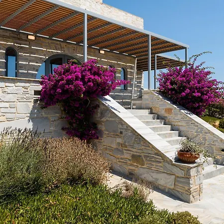 Aegean Seashell Púnda